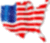 US shaped Flag