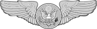 Air Crew Badge