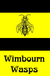 Wimbourn Wasps